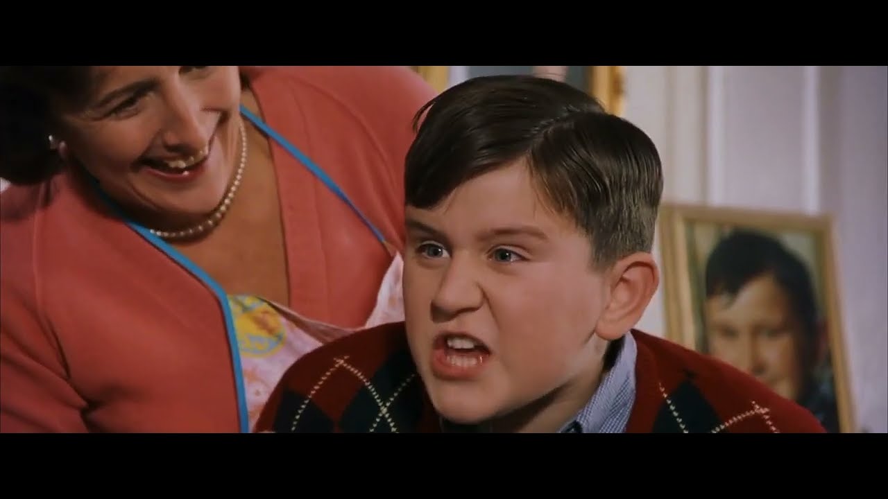 L'Anniversaire de Dudley Dursley - Harry Potter à l'école des sorciers (2001) en Français