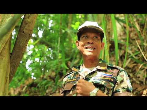 EN DIRECT DE THAÏLANDE : Visite guidée à Khao Sok, un des plus grands trésors de la Thaïlande...