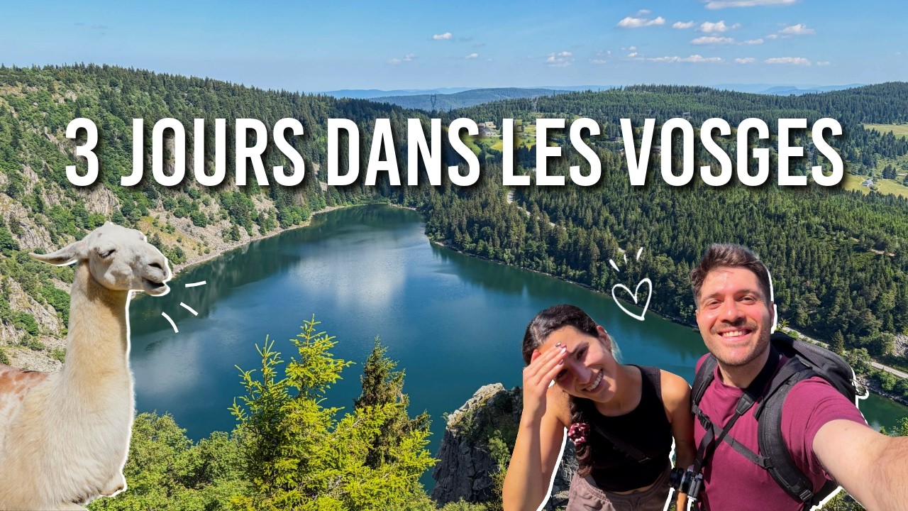 les Vosges : notre escapade de 3 jours à la montagne (et chez les lamas !!)