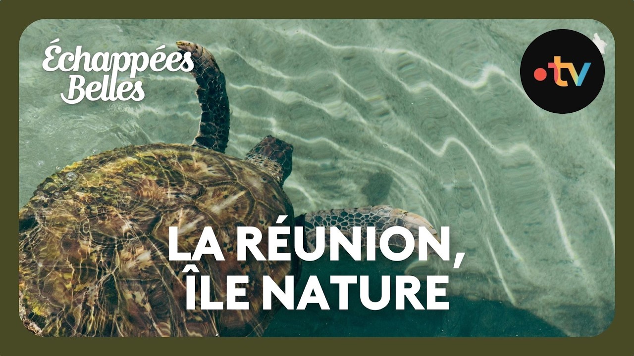 La Réunion, île nature - Échappées belles