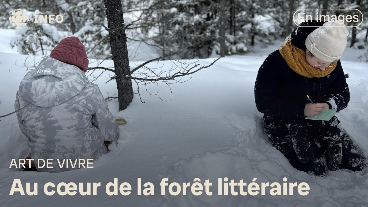 Au cœur de la forêt littéraire KM³ à Saint-Nazaire