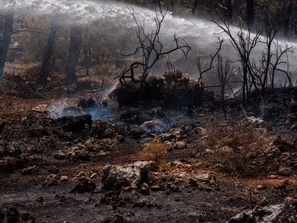 Incendies en Grèce : en Crète, un feu intense aux retombées insoupçonnées et potentiellement bénéfiques