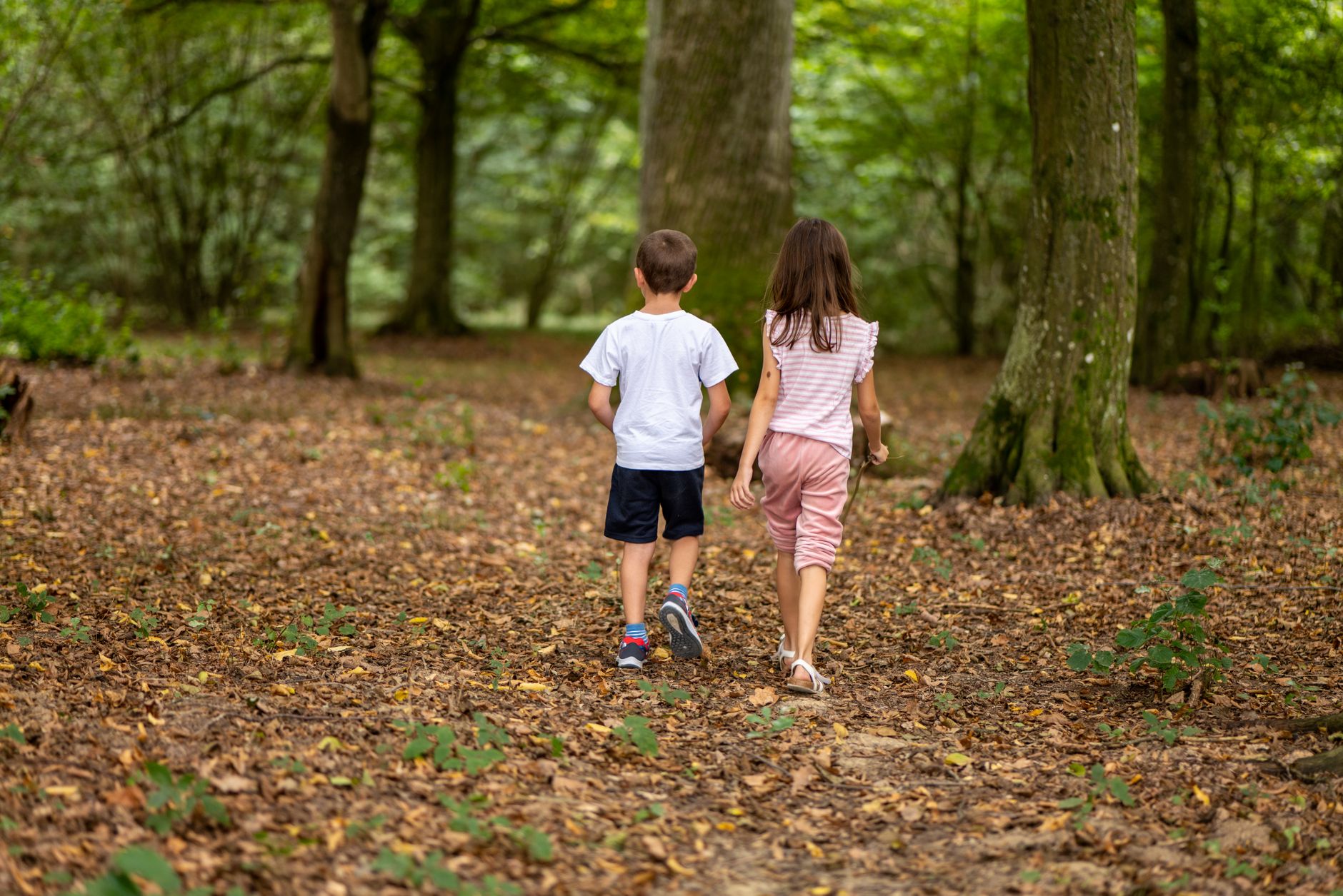 Le Bois des Serres : Une escapade forestière en famille à seulement 15 minutes de Lyon