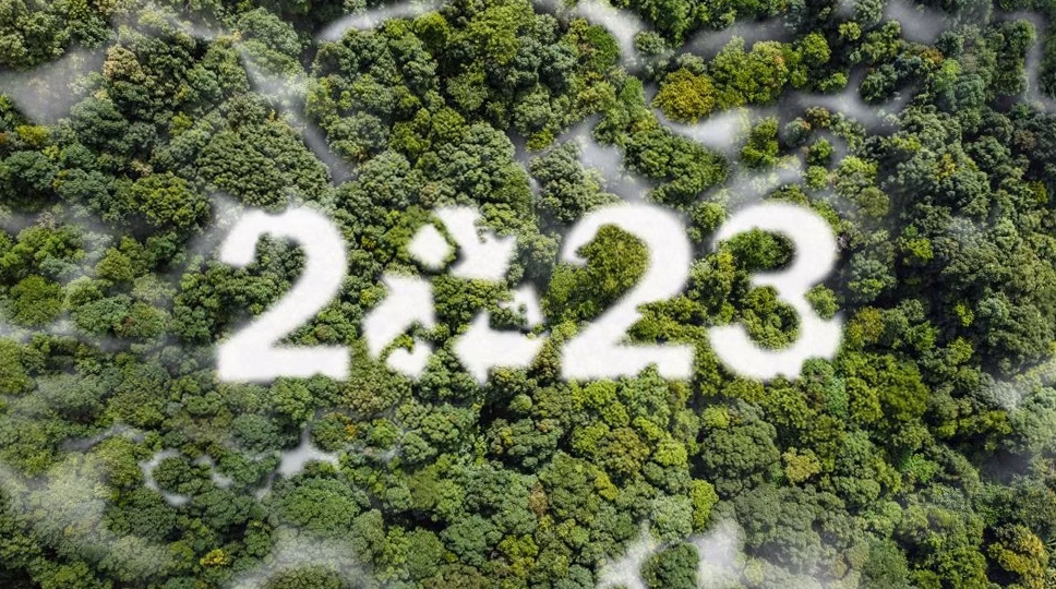 Aurores boréales : les escapades incontournables à vivre et réserver pour 2026-2027