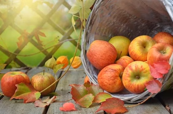 L’automne autour du globe : 6 escapades pour savourer saveurs, coutumes et paysages aux teintes dorées