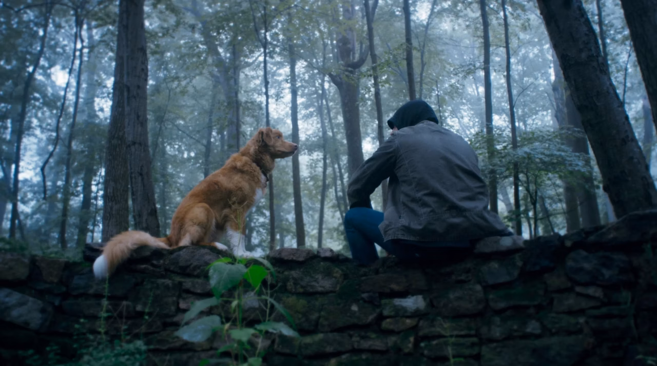 « The Dog Stars » avec Jacob Elordi : une surprise inattendue qui dépasse toutes les attentes