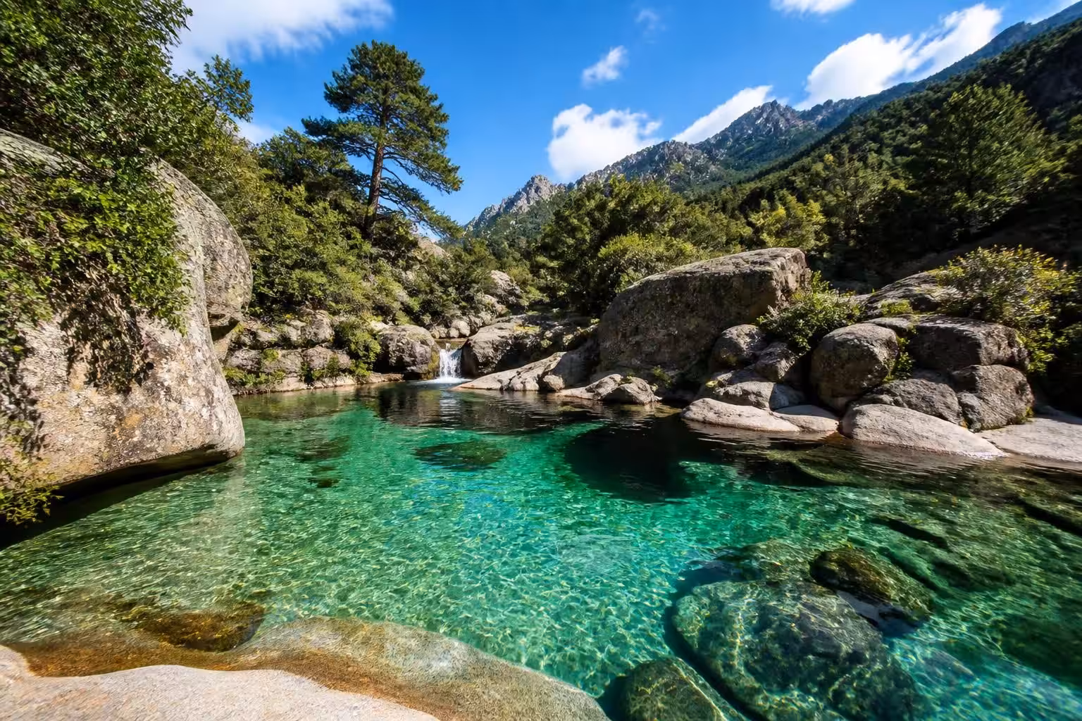 explorez la piscine naturelle de bavella en corse du sud, un site incontournable offrant des paysages époustouflants et une expérience unique en pleine nature.