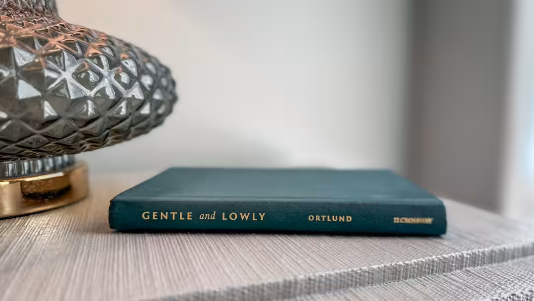 Lecture captivante : « L&rsquo;amour des grands » de Caroline Michel dévoilé